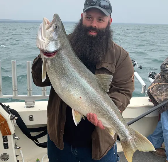 Lake Erie Lake Trout